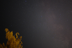 Image-preview_300x200