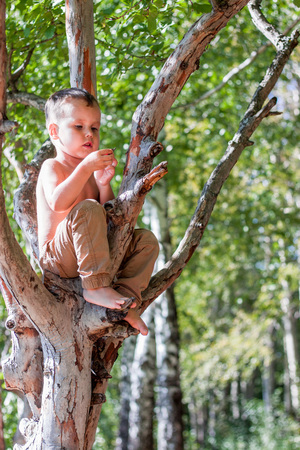 Image-preview_300x200