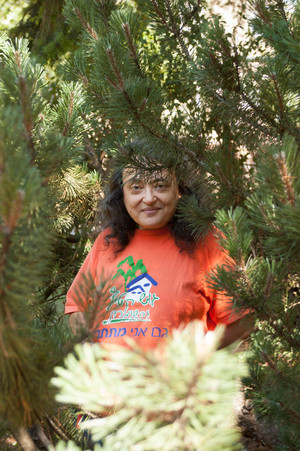 Image-preview_300x200