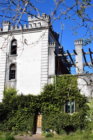 Image-preview_300x200