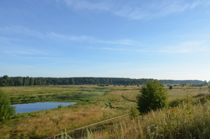 Image-preview_300x200