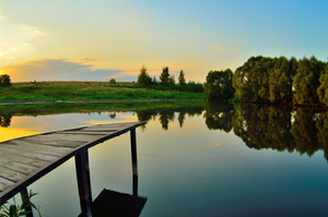 Image-preview_300x200