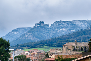 Image-preview_300x200