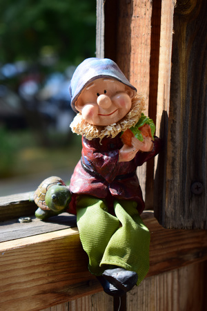 Image-preview_300x200