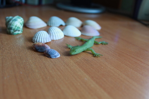 Image-preview_300x200