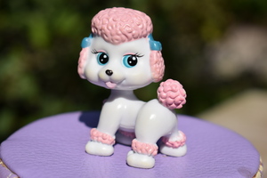 Image-preview_300x200