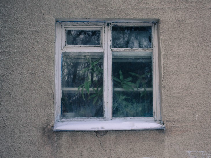 Image-normal