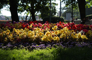 Image-preview_300x200