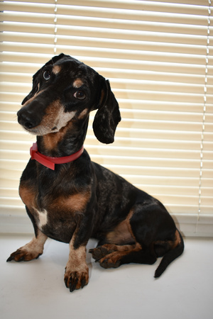 Image-preview_300x200