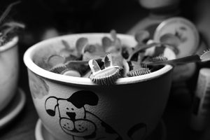 Image-preview_300x200