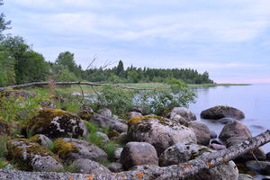 Image-preview_300x200