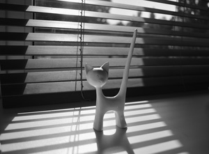 Image-preview_300x200