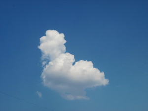 Image-preview_300x200