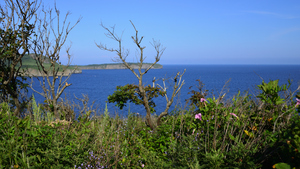 Image-preview_300x200