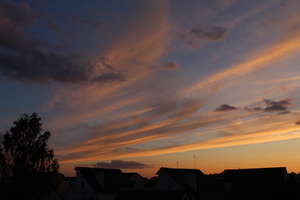 Image-preview_300x200