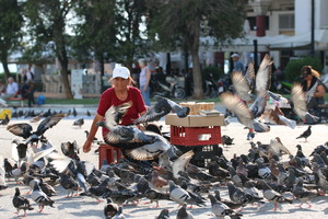 Image-preview_300x200