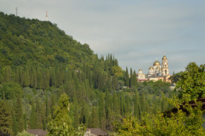 Image-preview_300x200