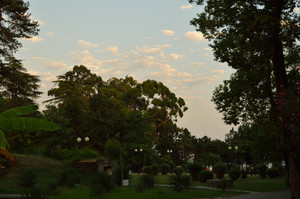 Image-preview_300x200