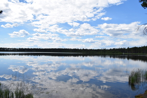 Image-preview_300x200