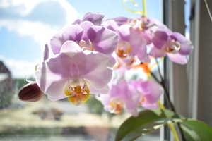 Image-preview_300x200