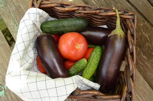 Image-preview_300x200