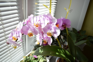 Image-preview_300x200