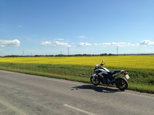 Image-preview_300x200