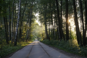 Image-preview_300x200