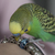 Image-square_50