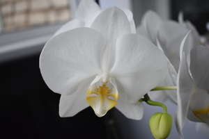 Image-preview_300x200