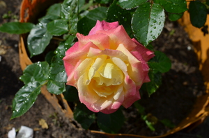 Image-preview_300x200