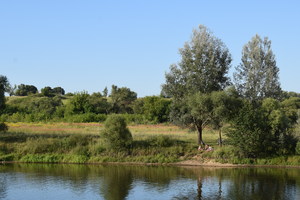 Image-preview_300x200