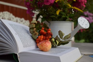 Image-preview_300x200