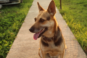 Image-preview_300x200