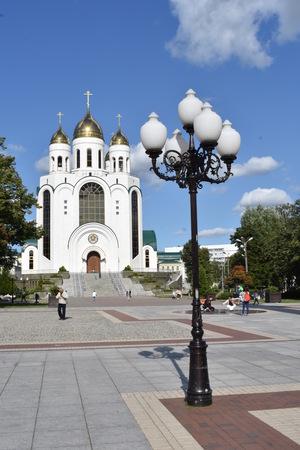 Image-preview_300x200