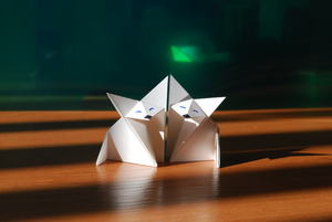 Image-preview_300x200