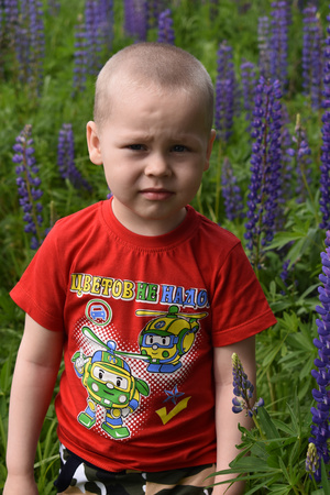 Image-preview_300x200