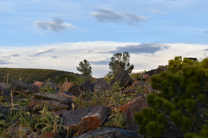 Image-preview_300x200