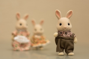 Image-preview_300x200