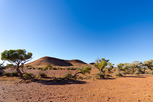 Image-preview_300x200