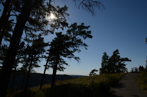 Image-preview_300x200