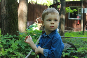 Image-preview_300x200