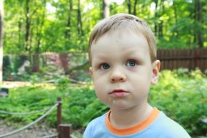 Image-preview_300x200