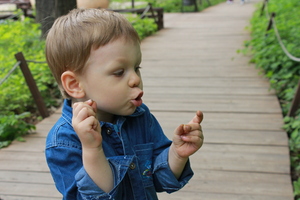 Image-preview_300x200