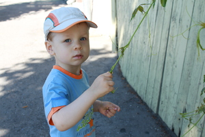 Image-preview_300x200