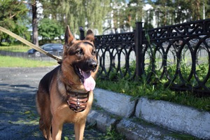 Image-preview_300x200