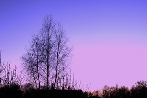 Image-preview_300x200