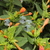 Image-square_50