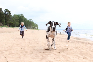 Image-preview_300x200