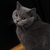 Image-square_50